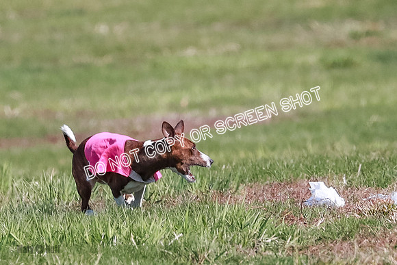 AE4I6277-2