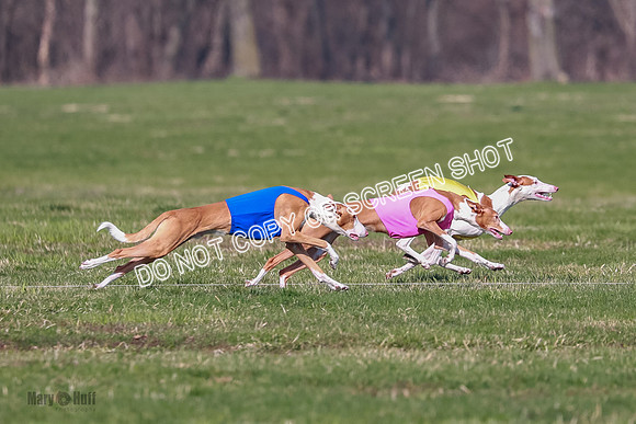 AE4I5589