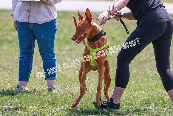 AE4I7216