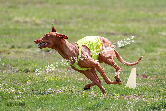 AE4I7231