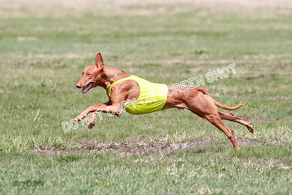 AE4I7251