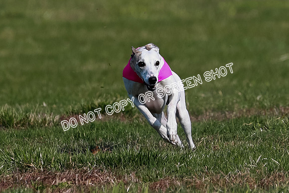 AE4I5850