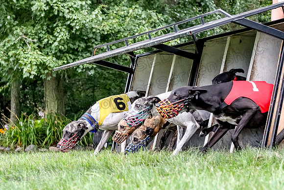 prg 1 race 3 Julian Guy Valerie Meatloaf Rhylie Quinn-3553