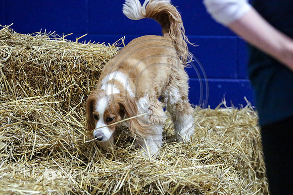 MCH55787