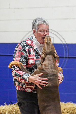 MCH55310