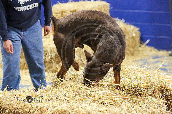 MCH55678