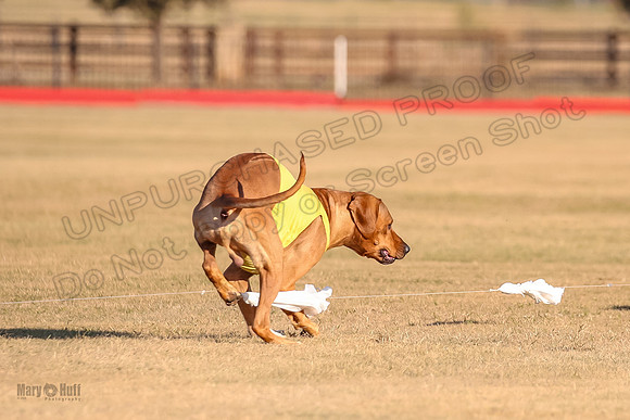 1Prelims Spec 1 Ash Zoey Zanna-9652