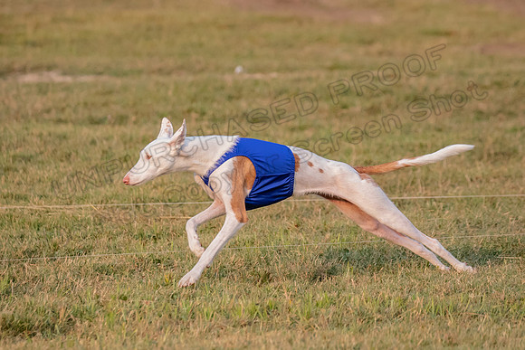 AE4I3107