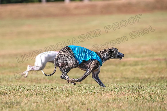 Finals Fch 1 Celine Huxley-3969