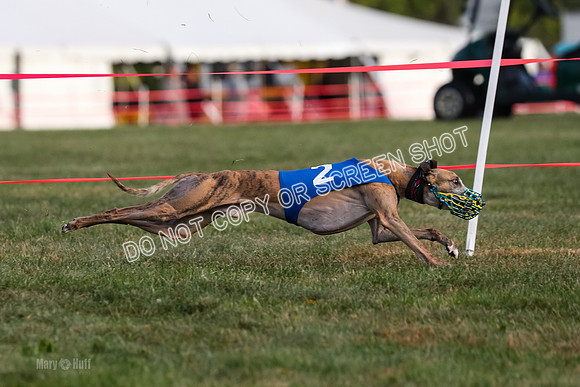 Prg 1, race 5, Cash Dusty Oats Carney-0678