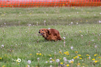 MCH76155