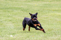 MCH77231