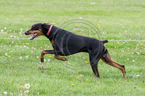 MCH78572