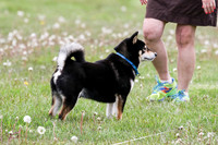 MCH78156