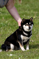 MCH78917