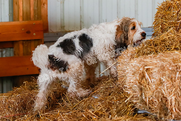 _F4I9931