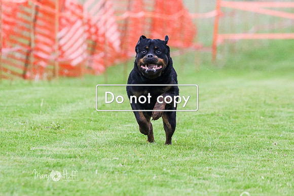 MCH76213