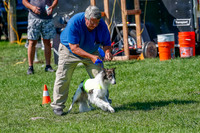 Silken Windhound Prelim, Finnegan-2948