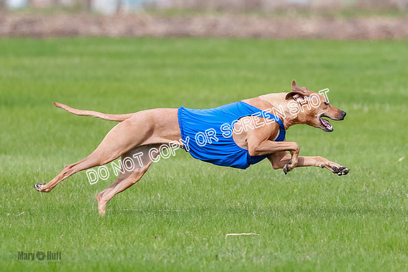AE4I8295
