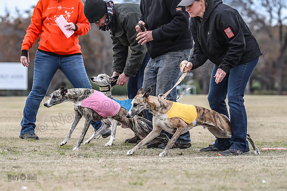 Finals Open 1 Steel Maverick Eggsy-3832