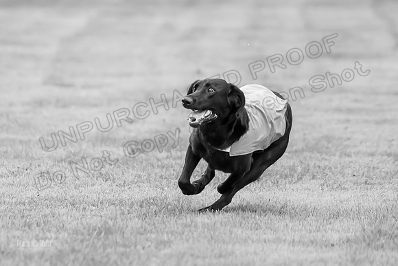Prelims Rowan-0864-2