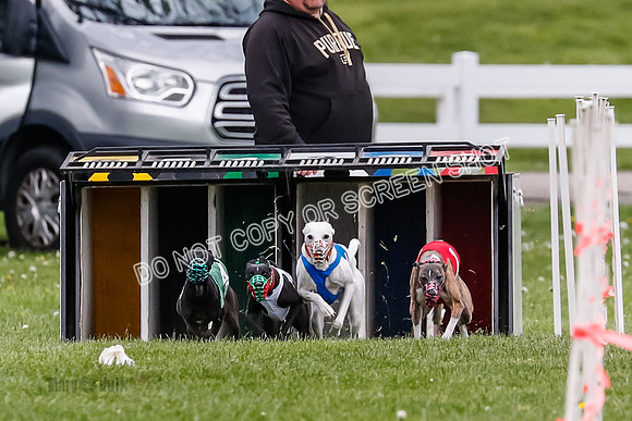 NOTRA Program 4, Race 1, Warrior Barley Flair Victor-2-6