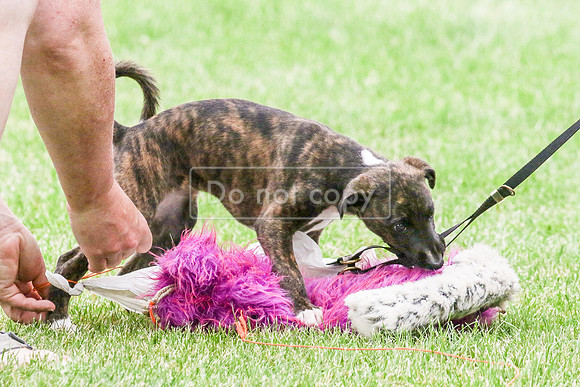 MCH77581