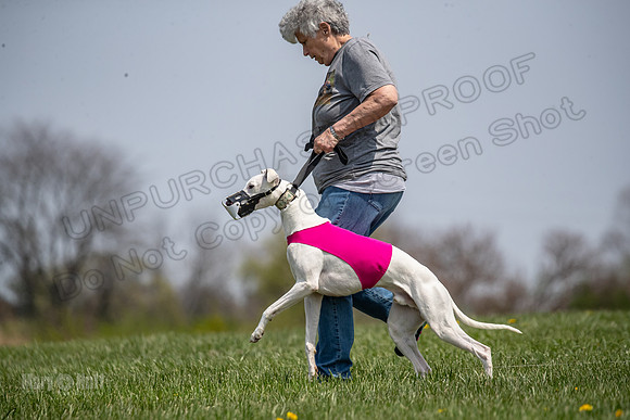 Finals Open F1 Mae Phantom Sonic-3736