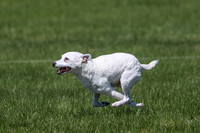 AE4I0372