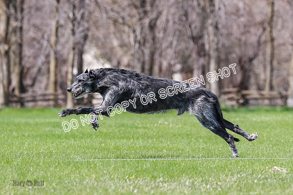 AE4I0914