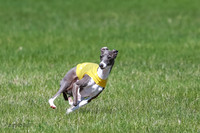 21 - IG's