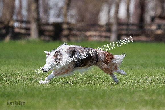 AE4I1263