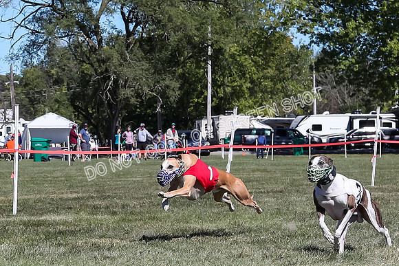 Prg 3, Race 3, Flynn Warrior Clyps Rigby Echo Arrow-9604