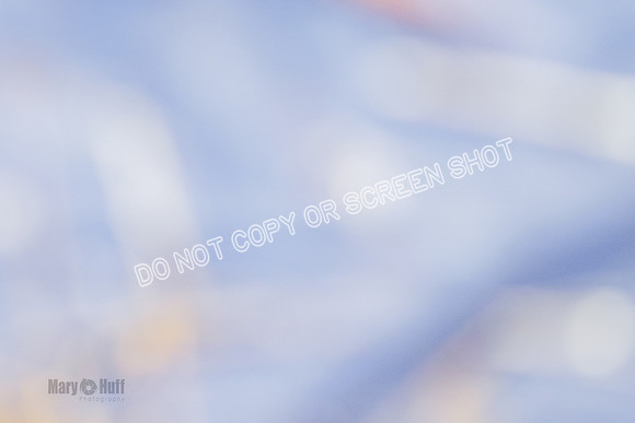 _F4I9072