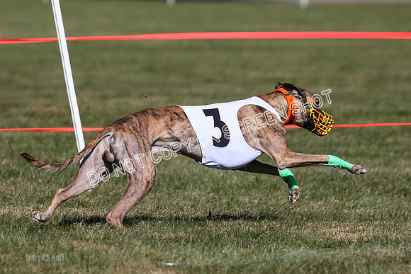 Prg 4, Race 3, Fortuna Rosie Mika Warrior-2558