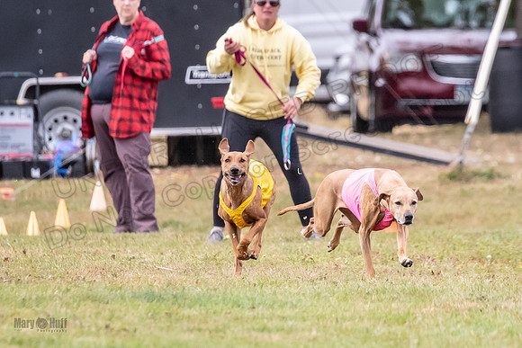 Finals Vet Libby Xena-2487