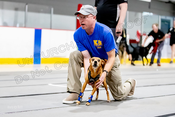 AE4I4884