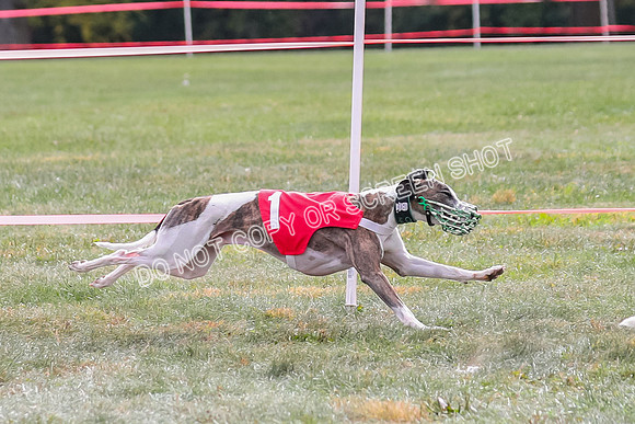 Prg 2, Race 1, Clyps Warrior Floyd Carney-1278