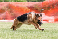 MCH79727