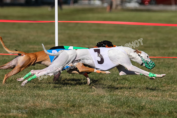 Prg 4, Race 13, oats Bookie Reas Rizzo-2782