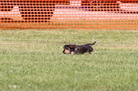 MCH78118