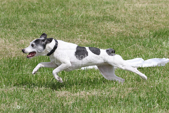 MCH78287