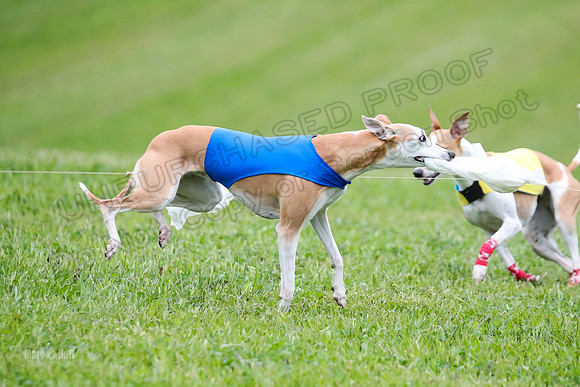 Prelim Open E2, Riddle Finely Scarlet-4910