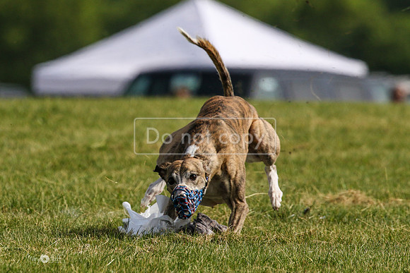 MCH79747