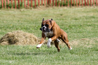 MCH79813