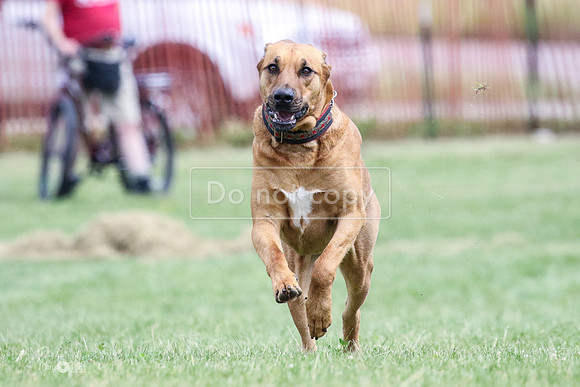 MCH70105