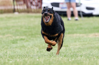 MCH70032