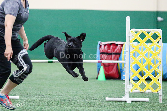 MCH57046