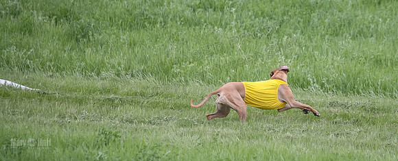 1 Prelims Fch Islay Eve Opal-8338