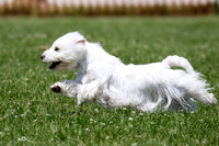 MCH71253